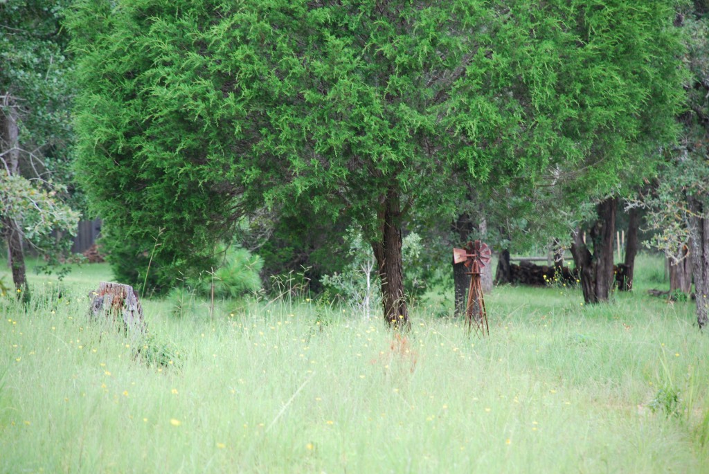 Windmill in the woods, Paige, TX -- 2009, Nathan Isburgh